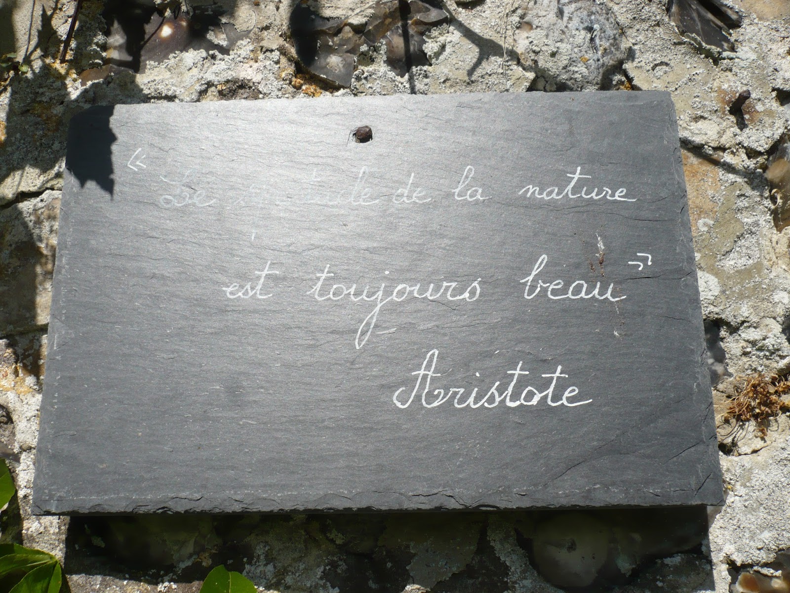herborium  proverbe 2