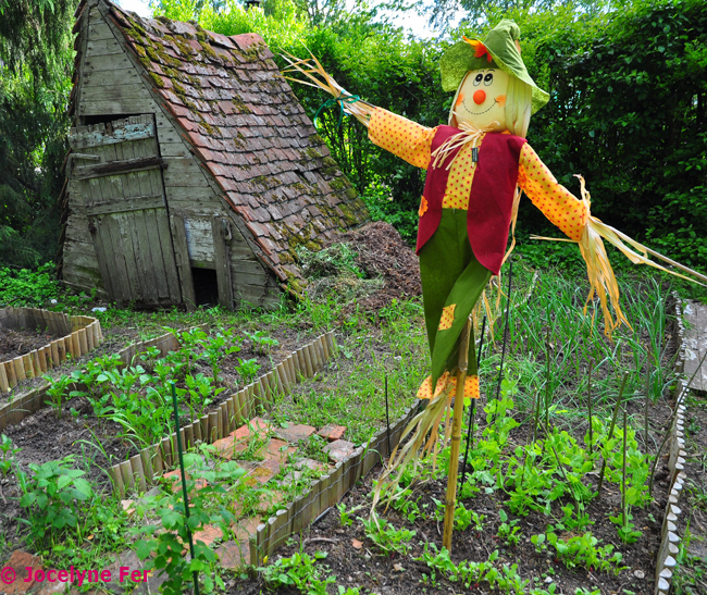 IMF_ACCROCHE_G_WEB_CHEMIN_5410_1393346254