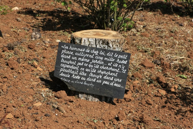 ivr73_20111251000nuca_p