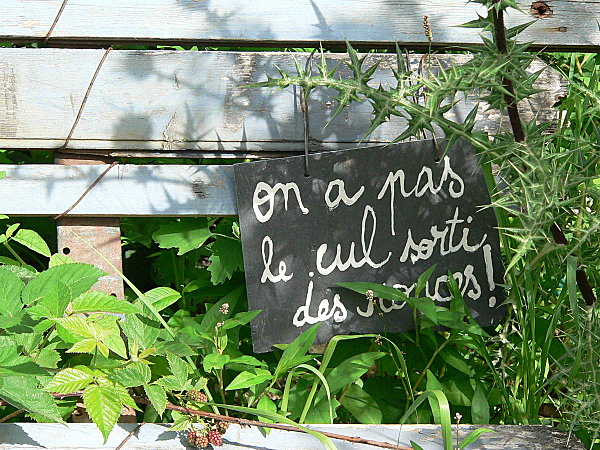 Le-vilain-petit-jardin-de-Jean-Michel--Vilain_--13-