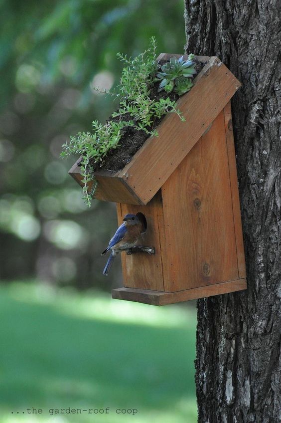 08606c438aece0808f3ee6ce91732cba