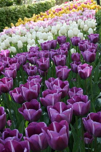 0881cb72d7641a5ad2f7b62f357d217e