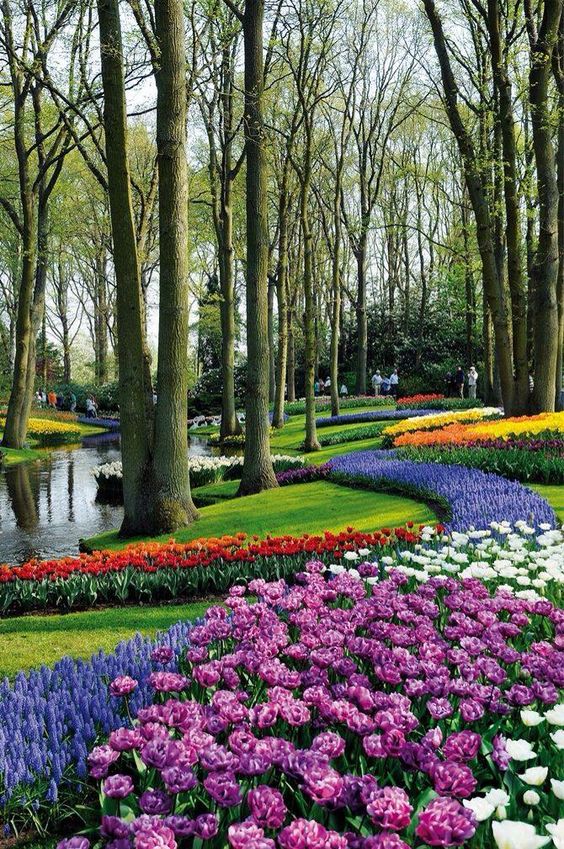 0e3d73cf8d0caa0e7560eadc1c64d6c0