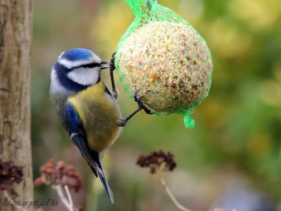 2dd1b9850a4bfe377ec93a26d7117ea8