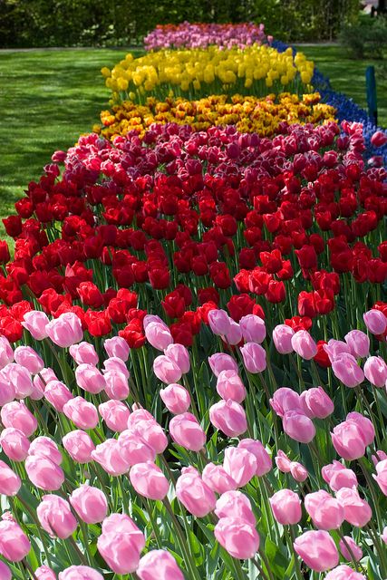 378673c06390cac7a76ebcad13eacd55