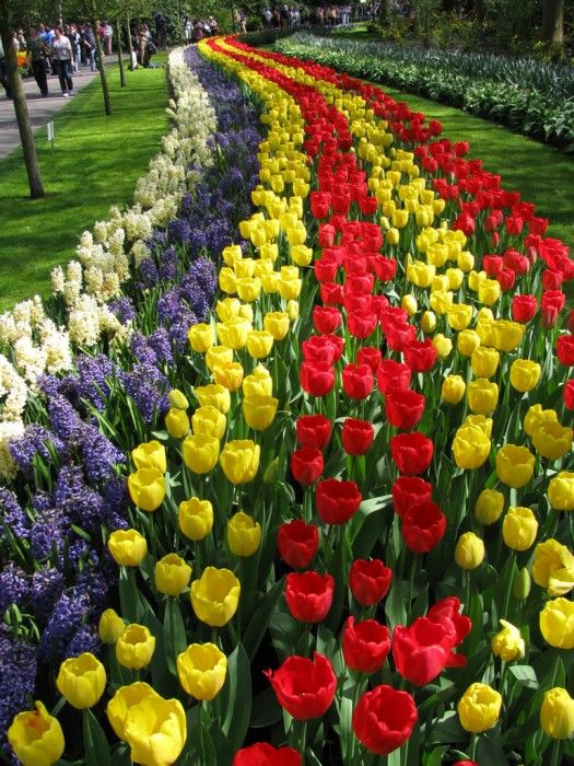 3a6e99858b54f2d4743582b8ea6cfeb7