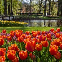 3b315ea2a36cf96fb41045d6366e5f3e