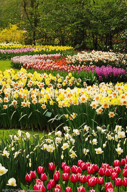 3e95f4e514b5f4274e14b4de6621a5e3