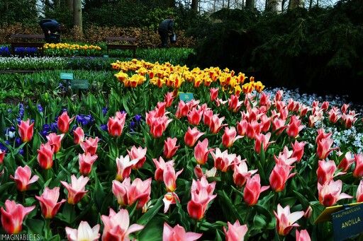 51b794b6af02cff5eacbff825555d43f