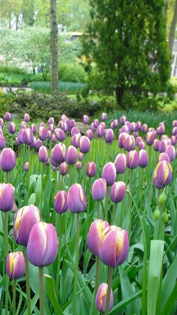 57162b7ec3deda02288c197784c8eb87