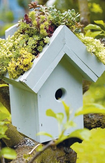 61d543aaa2cc818d501a681b046b9dd6