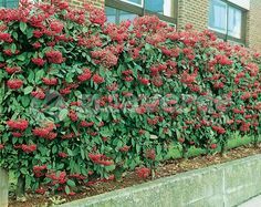 6407e442579350d9700ea67d6239a354