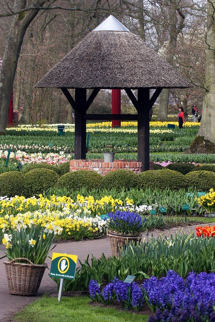 7bad3a2033caf0e87ba9ba67283ced14