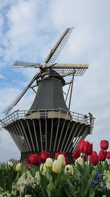 7ce4b35aab2dd31dc4e5f90e18b68f70