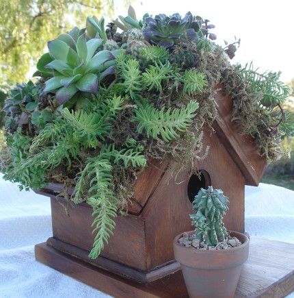 8f90d79769fafccb3597ddfc6b0f8d0f