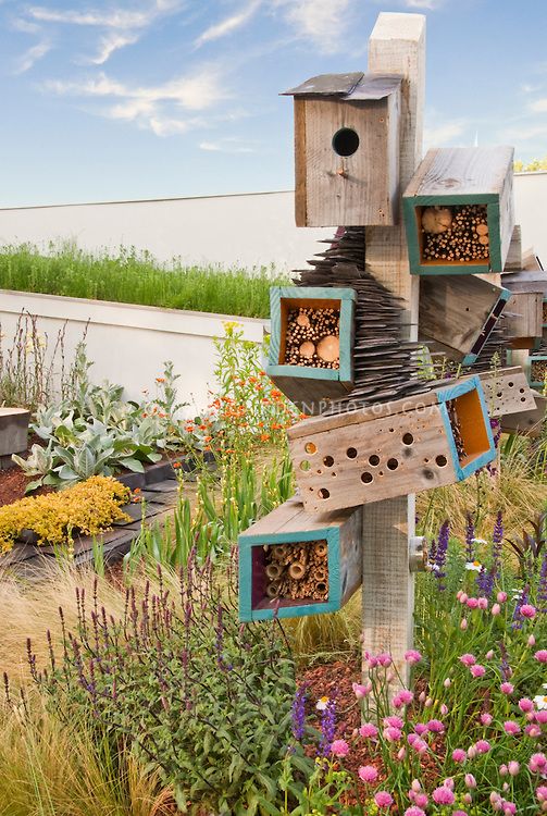 8fb6210f17d9d5785d947685ce310c56