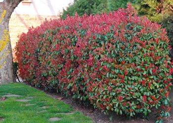 8fe3e327b38ea5b29b533aba6ddd4891