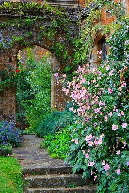 907a3c367920c465a6d67c1c6dc16ca5