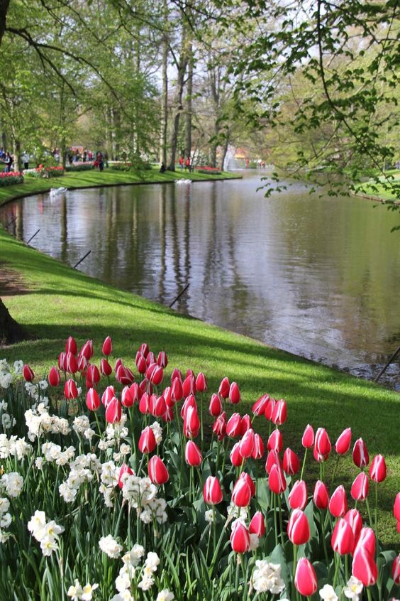 90cee1b06876780cf412d65feb5ba626