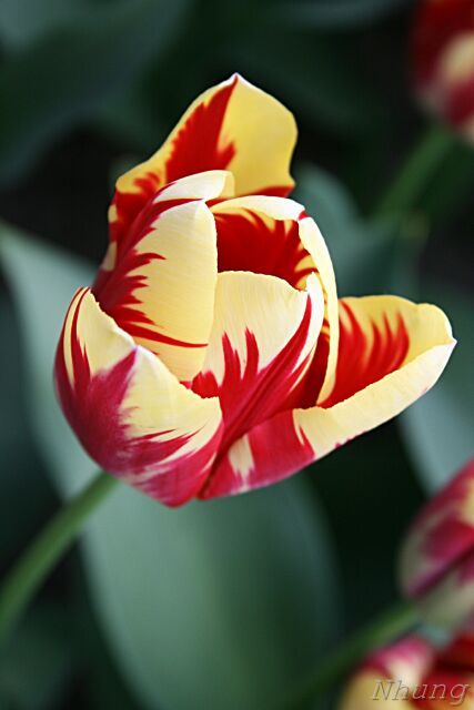 91a6d38ef88da7a3d5d4462c105d1bd9