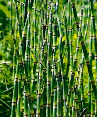 95a38db895479e3cf37c9ccee3b7ab64