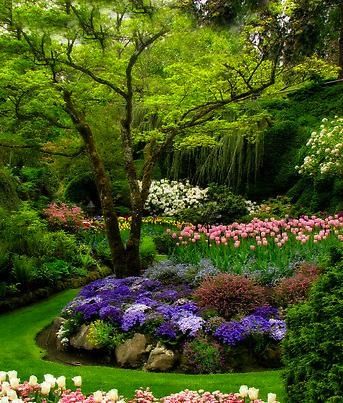 a4e6fd8e1bc75ff1df422758e12738ce