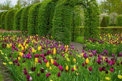 beec93ad2f69cca31a49d5b237aaba79