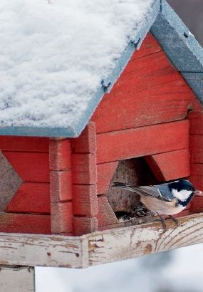 c736ffa07340f06fe16279682b9f456c