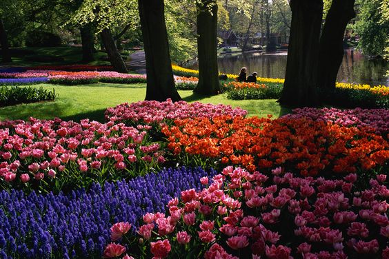 ccb00554bdcea720b1cf322edf023a2d