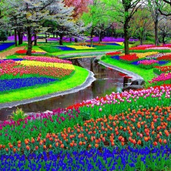 d0fb7ab83fa6cf0cbe771583b86c9eab