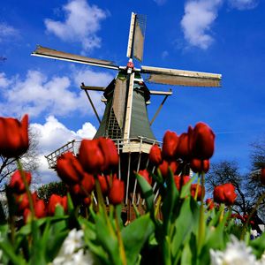 d1d75c7e236779f2b21f29ea04d7511e