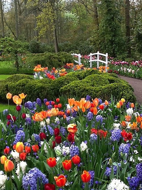 d522fbd77b26d0b1f7fca9b369028dfe