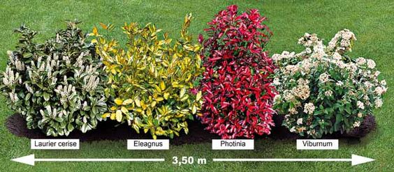 df171a8d8a96c91b01e4a980c15f94ab