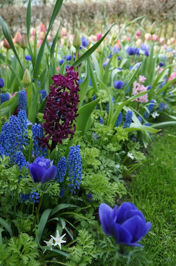 e432e524158bde2795d39d546b764bb7