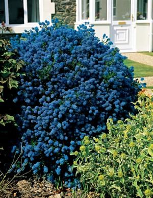 e870073404b8b6b2ac485d3a25add019