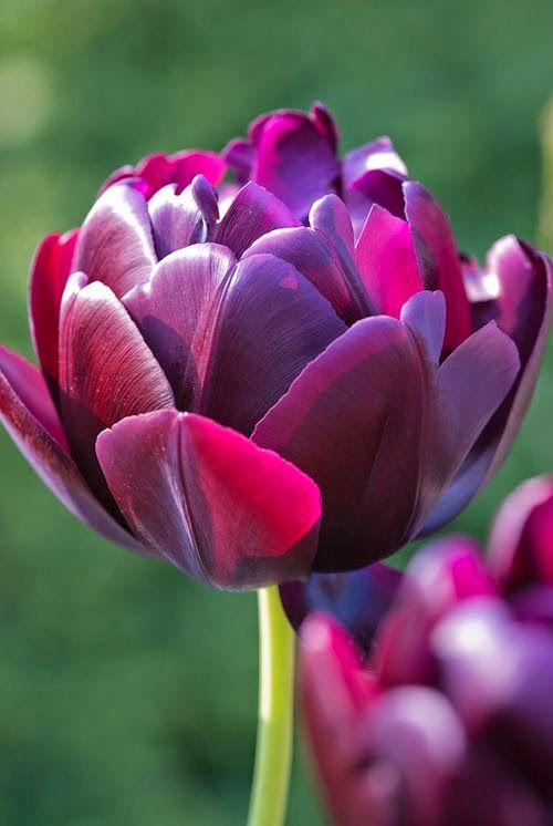 f6036d01c78db16819a257aa6f543aac