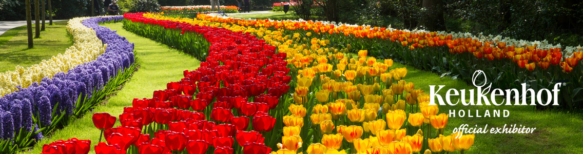keukenhoftopbanner