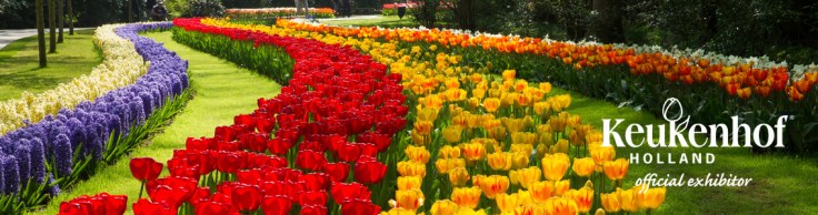 keukenhoftopbanner