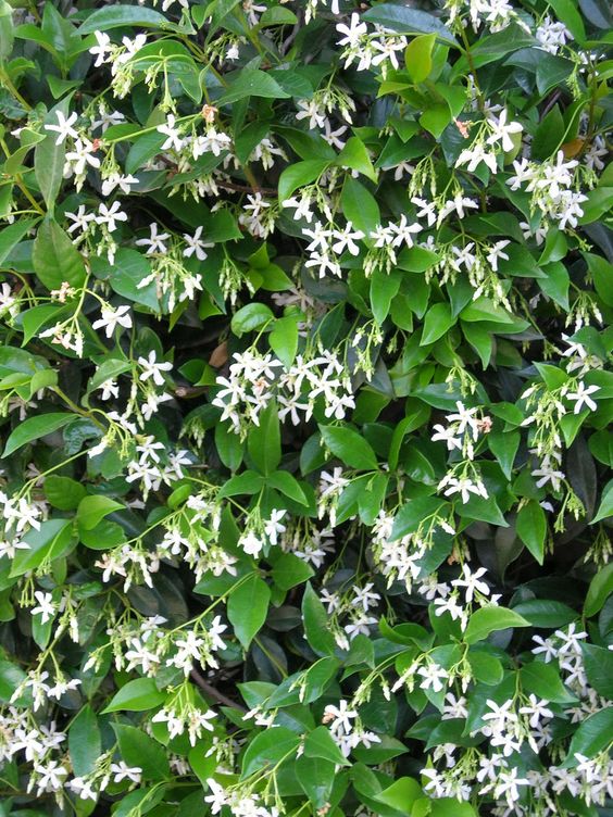 0b4bf3418f5c4871b149afcd719ae09b