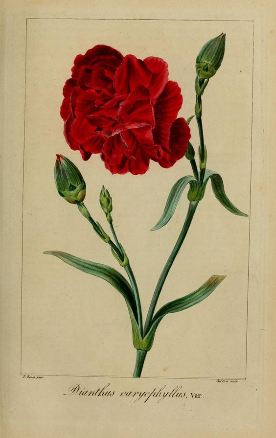 15ba3450078cd7767a5bb1a2876f6cbe