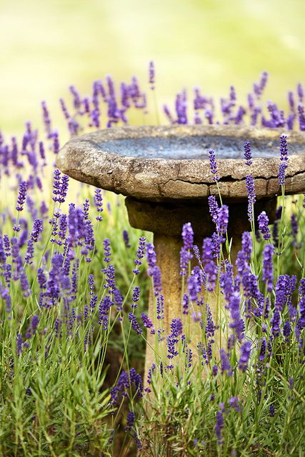 1cb99551e7c1e5441597d0b64bf8ce2f