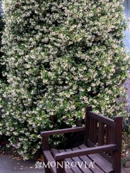 3977b1379afb8a890f7648734f1c839f