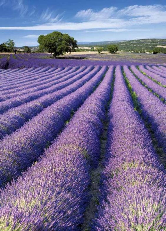 491ba1b645869bb1699d6fc537e0d6b8