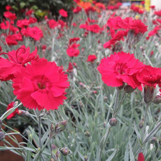 5b4bfdaba5c965059aa9caf7a0f41ceb