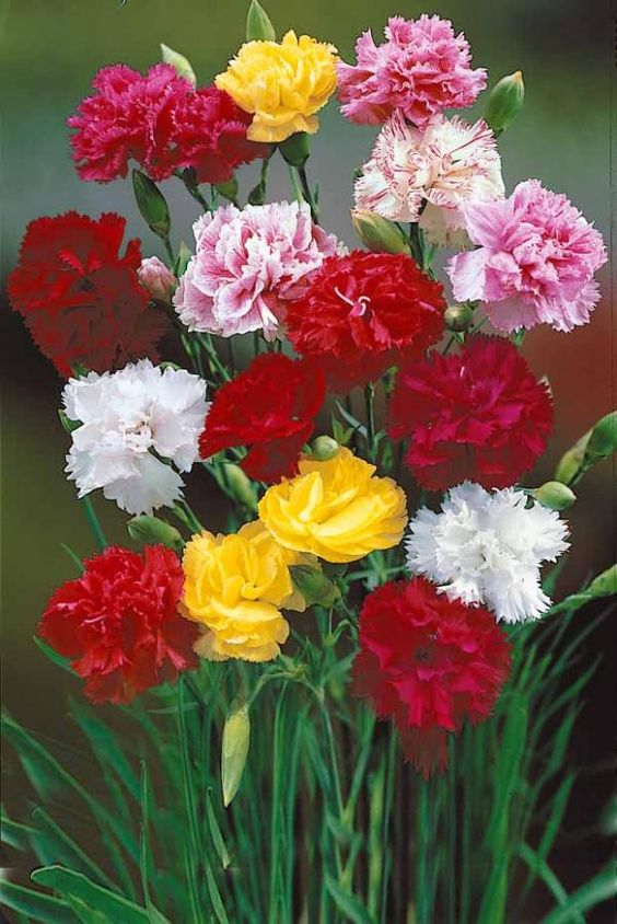 5d717d740960ff2227ec5f42782983a4