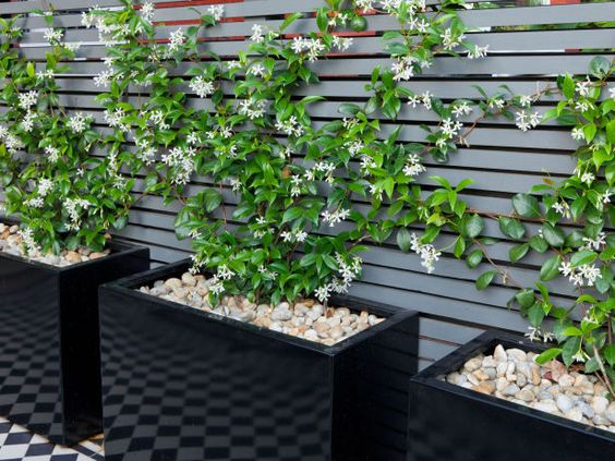 5ec8b2ca40cc640d6ca9aad779c4f9db