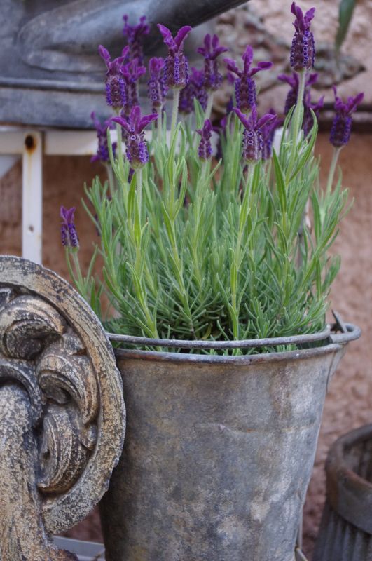 64246516d273adde4bf5f92b21239628