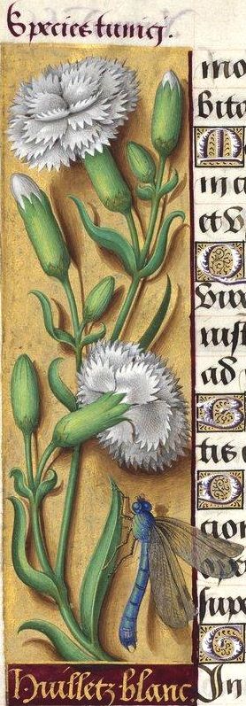 8104b0351700f9814eec5405b6e27271