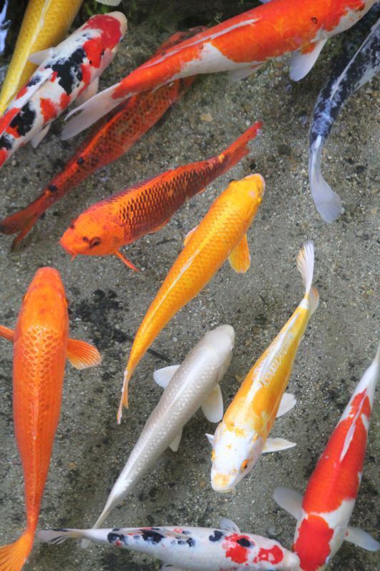 824ea9fb9e550103ab0569bdc5d6dad5