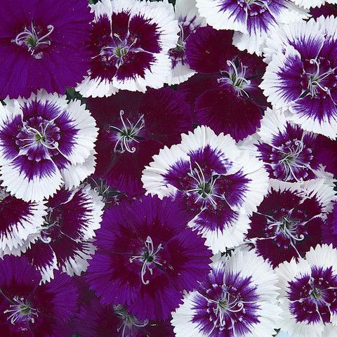 90c84747a1b6e71c9c819f6094a9afbc